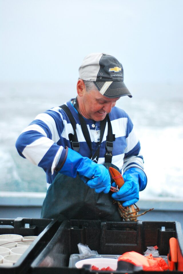 Transmettre Mon Entreprise Métiers De La Mer Cerfrance Brocéliande