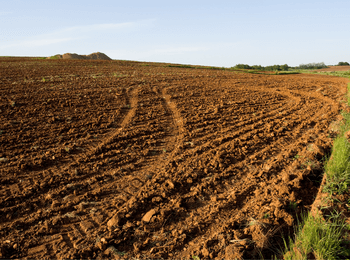 Champ agricole fraîchement labouré sous un ciel dégagé, représentant une terre éligible à l’exonération de taxe foncière pour les terres agricoles.
