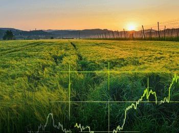 Champ agricole au coucher du soleil avec graphique superposé, illustrant l’évolution de l’indice des fermages en 2025.