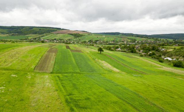 Vue panoramique de terres agricoles verdoyantes en zone rurale, représentant une zone France ruralités revitalisation plus (ZFRR+)