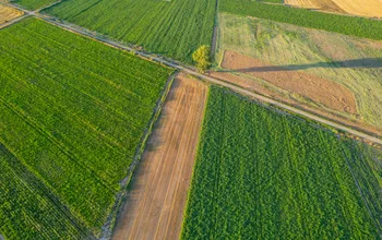 Vue aérienne de parcelles agricoles cultivées, illustrant la cession de terrains agricoles et leur exploitation.