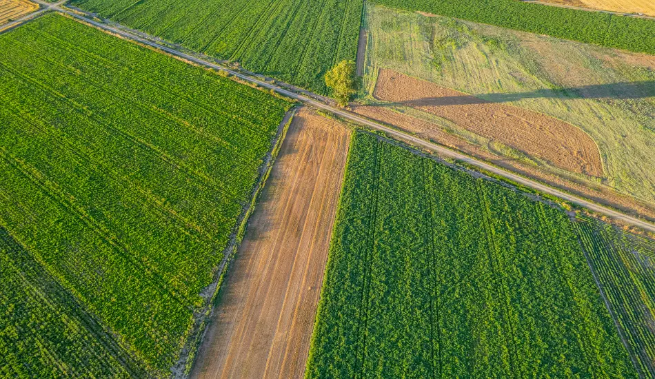 950x550 Cession Terrain Agricole