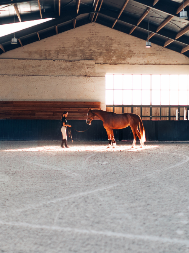 Creer Mon Entreprise Metier Equin